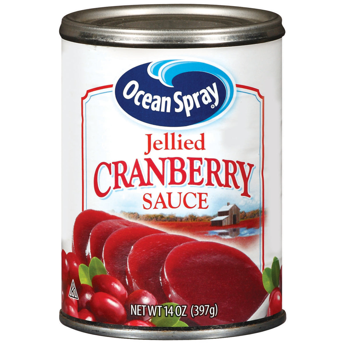 Ocean Spray Jellied Cranberry Sauce, 397g