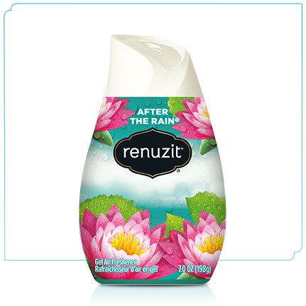 Renuzit After The Rain 198g
