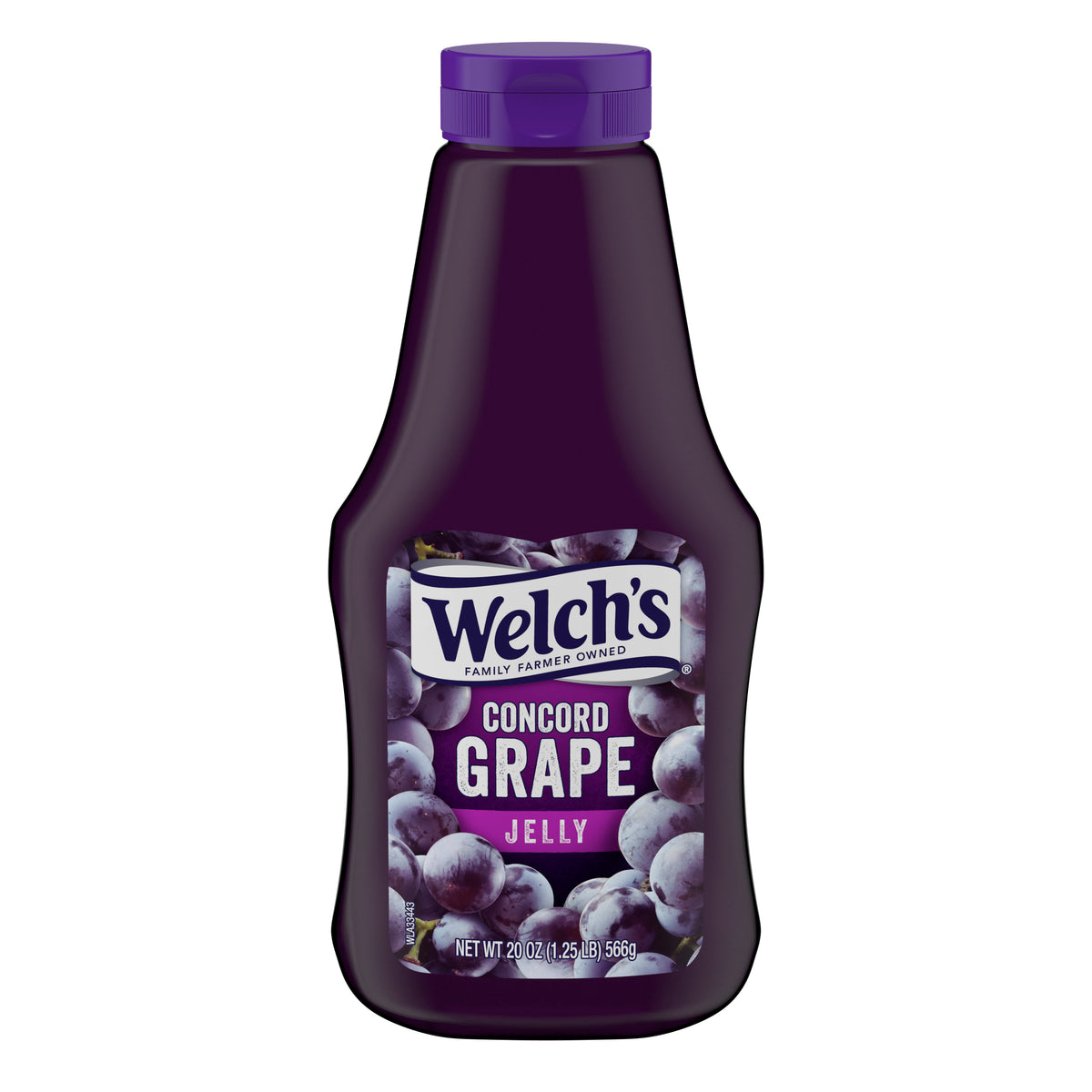 Welch's Concord Grape Jelly 566g