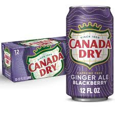 12xCanada Dry Blackberry Ginger Ale 355ml, MHD 30.4.26 überschritten